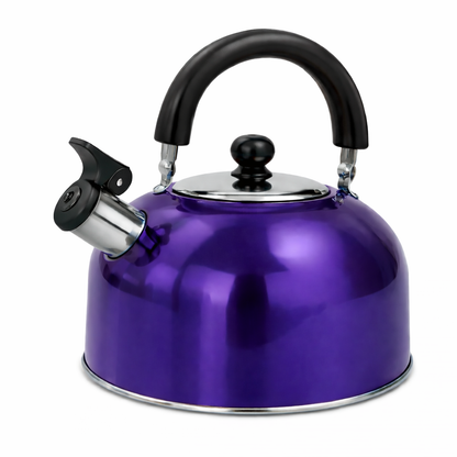 Tetera de Acero Inoxidable 2.7 Litros con Mango Antideslizante | C100134