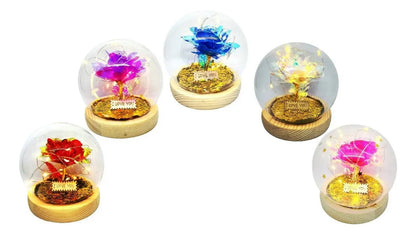 Rosa Eterna Luces Led Cúpula Vidrio Flor Eterna Artificial C8027