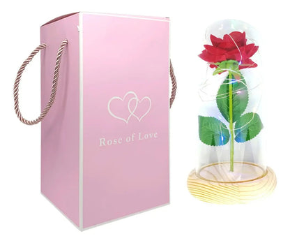Rosa Eterna Luces Led Flor Eterna Artificial Cúpula Vidrio C8026 y C8029