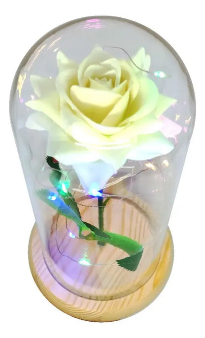 Rosa Eterna Luces Led Flor Eterna Artificial Cúpula Vidrio C8026 y C8029