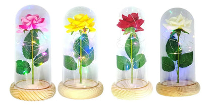 Rosa Eterna Luces Led Flor Eterna Artificial Cúpula Vidrio C8026 y C8029