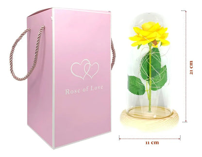 Rosa Eterna Luces Led Flor Eterna Artificial Cúpula Vidrio C8026 y C8029