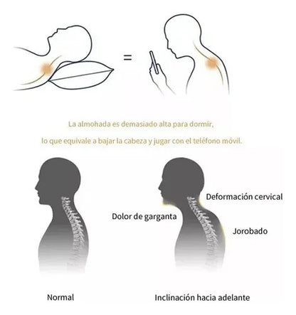 Almohada Ergonómica 3d Ortopédica Cuello y Cervical | MS2818